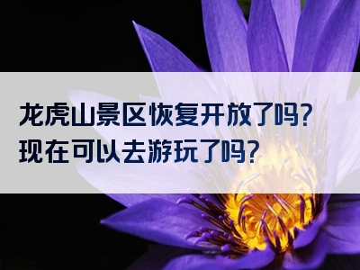 龙虎山景区恢复开放了吗？现在可以去游玩了吗？