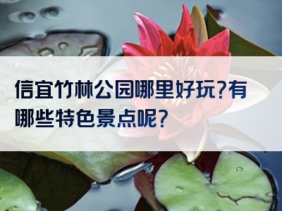 信宜竹林公园哪里好玩？有哪些特色景点呢？
