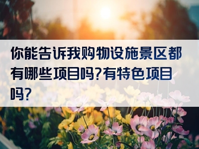 你能告诉我购物设施景区都有哪些项目吗？有特色项目吗？