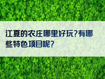江夏的农庄哪里好玩？有哪些特色项目呢？