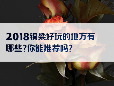 2018铜梁好玩的地方有哪些？你能推荐吗？