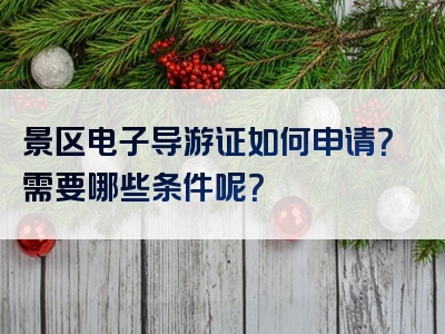 景区电子导游证如何申请？需要哪些条件呢？
