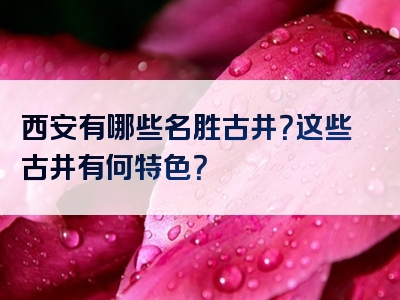 西安有哪些名胜古井？这些古井有何特色？