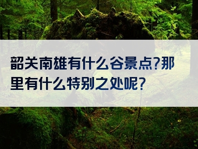 韶关南雄有什么谷景点？那里有什么特别之处呢？