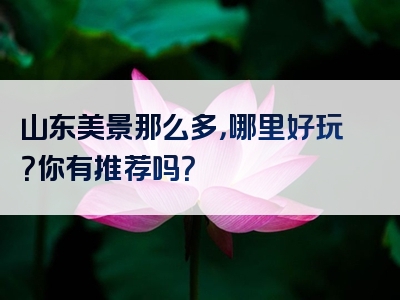 山东美景那么多，哪里好玩？你有推荐吗？