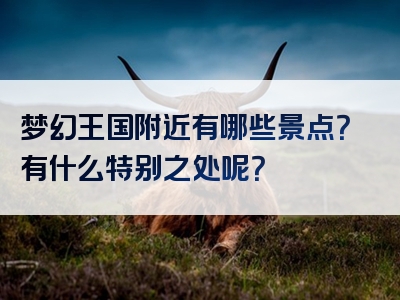梦幻王国附近有哪些景点？有什么特别之处呢？