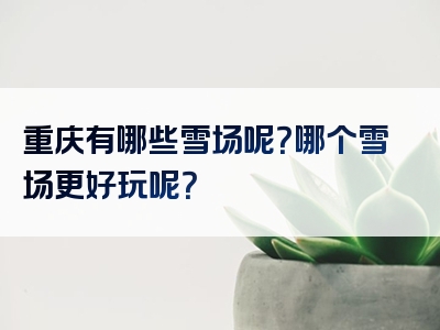 重庆有哪些雪场呢？哪个雪场更好玩呢？