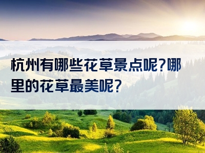 杭州有哪些花草景点呢？哪里的花草最美呢？