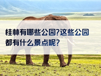 桂林有哪些公园？这些公园都有什么景点呢？