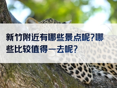 新竹附近有哪些景点呢？哪些比较值得一去呢？