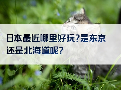 日本最近哪里好玩？是东京还是北海道呢？