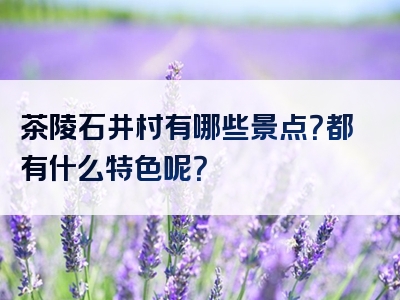茶陵石井村有哪些景点？都有什么特色呢？