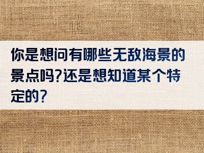 你是想问有哪些无敌海景的景点吗？还是想知道某个特定的？