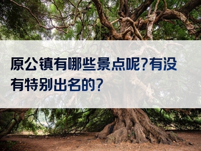 原公镇有哪些景点呢？有没有特别出名的？