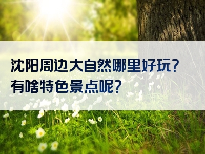 沈阳周边大自然哪里好玩？有啥特色景点呢？