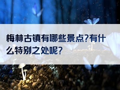 梅林古镇有哪些景点？有什么特别之处呢？