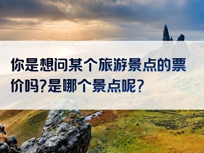 你是想问某个旅游景点的票价吗？是哪个景点呢？