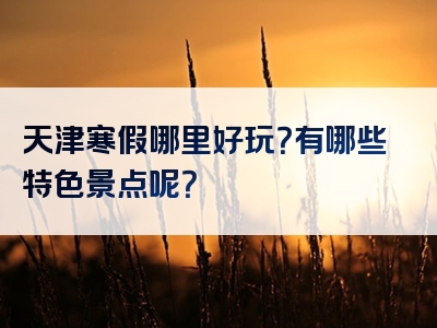 天津寒假哪里好玩？有哪些特色景点呢？