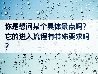 你是想问某个具体景点吗？它的进入流程有特殊要求吗？