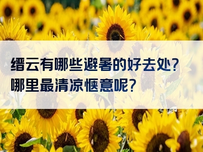 缙云有哪些避暑的好去处？哪里最清凉惬意呢？