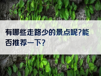 有哪些走路少的景点呢？能否推荐一下？