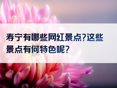 寿宁有哪些网红景点？这些景点有何特色呢？