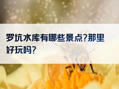 罗坑水库有哪些景点？那里好玩吗？