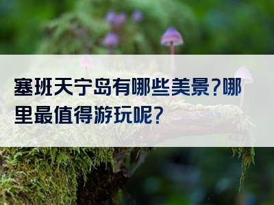 塞班天宁岛有哪些美景？哪里最值得游玩呢？