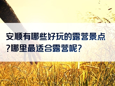 安顺有哪些好玩的露营景点？哪里最适合露营呢？