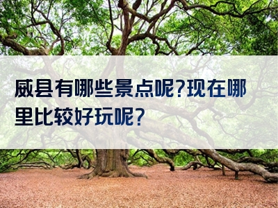 威县有哪些景点呢？现在哪里比较好玩呢？