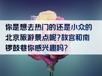 你是想去热门的还是小众的北京旅游景点呢？故宫和南锣鼓巷你感兴趣吗？