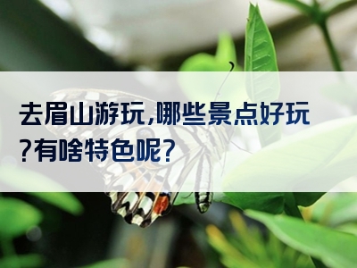 去眉山游玩，哪些景点好玩？有啥特色呢？