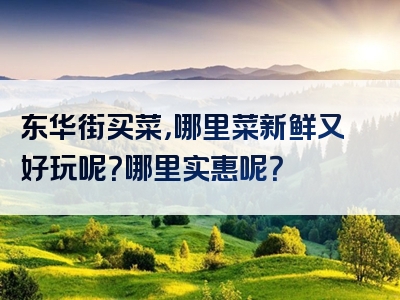 东华街买菜，哪里菜新鲜又好玩呢？哪里实惠呢？