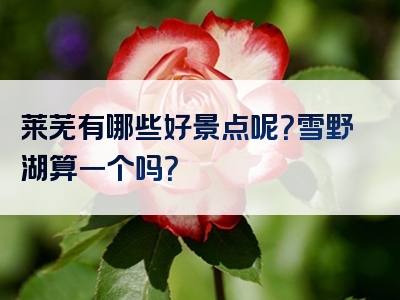 莱芜有哪些好景点呢？雪野湖算一个吗？