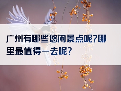 广州有哪些悠闲景点呢？哪里最值得一去呢？