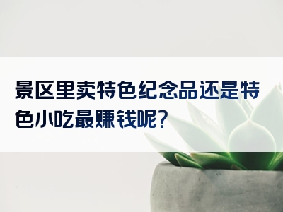 景区里卖特色纪念品还是特色小吃最赚钱呢？