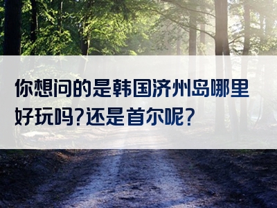 你想问的是韩国济州岛哪里好玩吗？还是首尔呢？