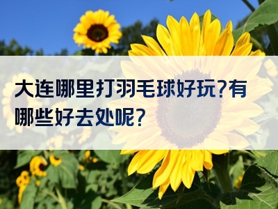 大连哪里打羽毛球好玩？有哪些好去处呢？