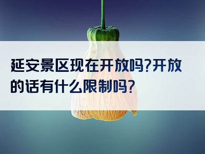 延安景区现在开放吗？开放的话有什么限制吗？