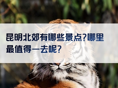 昆明北郊有哪些景点？哪里最值得一去呢？