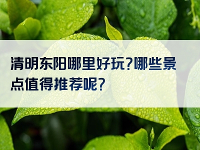 清明东阳哪里好玩？哪些景点值得推荐呢？