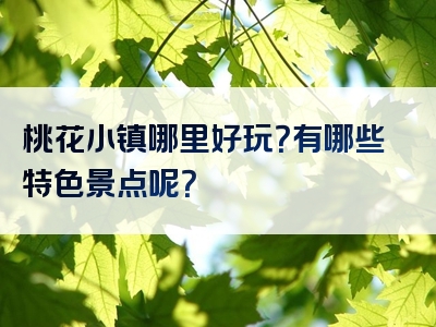桃花小镇哪里好玩？有哪些特色景点呢？