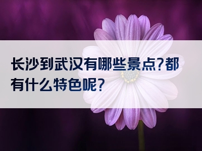 长沙到武汉有哪些景点？都有什么特色呢？