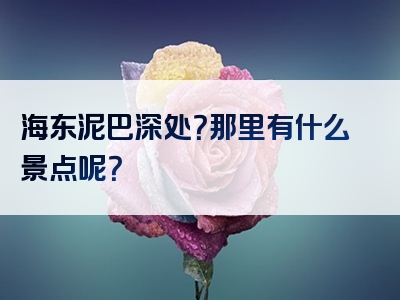海东泥巴深处？那里有什么景点呢？