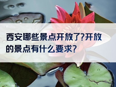西安哪些景点开放了？开放的景点有什么要求？