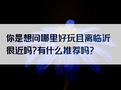 你是想问哪里好玩且离临沂很近吗？有什么推荐吗？