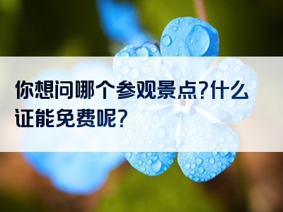 你想问哪个参观景点？什么证能免费呢？
