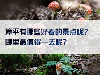 漳平有哪些好看的景点呢？哪里最值得一去呢？