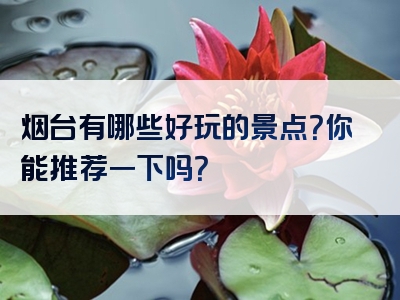烟台有哪些好玩的景点？你能推荐一下吗？