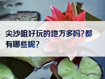 尖沙咀好玩的地方多吗？都有哪些呢？
